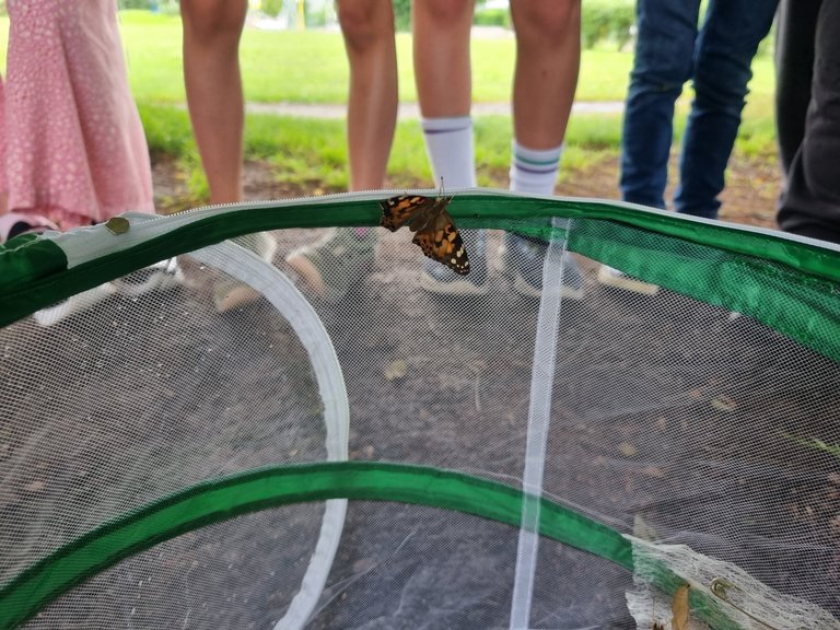 20260602_114250.jpg
