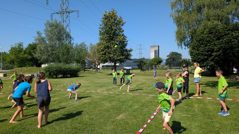 PXL_20260619_080226490.jpg